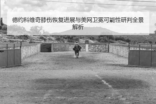 de-yue-ke-wei-qi-xi-shang-hui-fu-jin-zhan-yu-mei-wang-wei-mian-ke-neng-xing-yan-pan-quan-jing-jie-xi-2-528.jpg